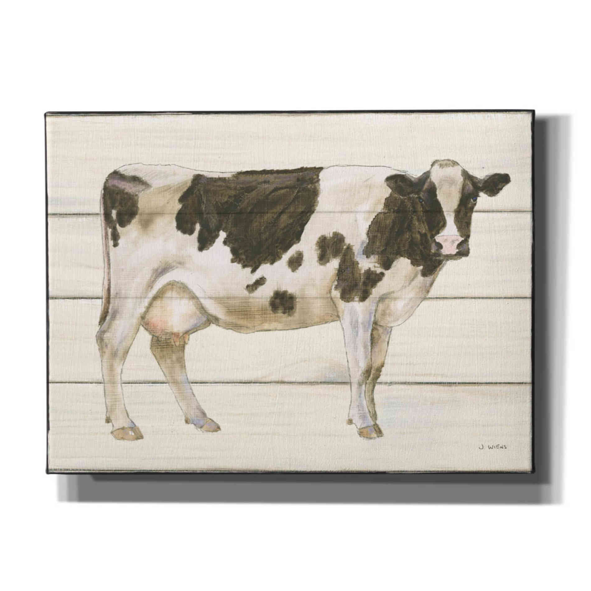 'Country Cow VII' by James Wiens, Canvas Wall Art,16x12x1.1x0,26x18x1.1x0,34x26x1.74x0,54x40x1.74x0