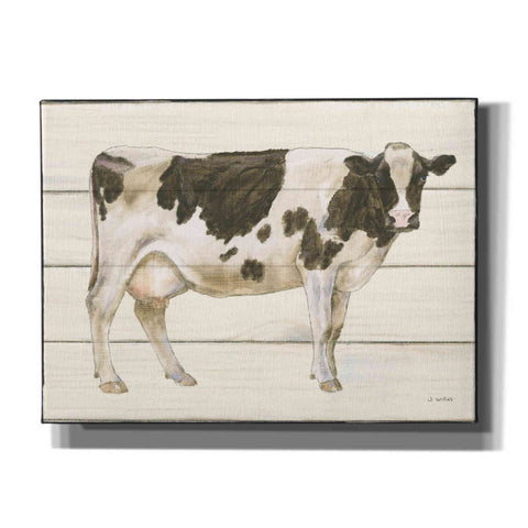 Image of 'Country Cow VII' by James Wiens, Canvas Wall Art,16x12x1.1x0,26x18x1.1x0,34x26x1.74x0,54x40x1.74x0