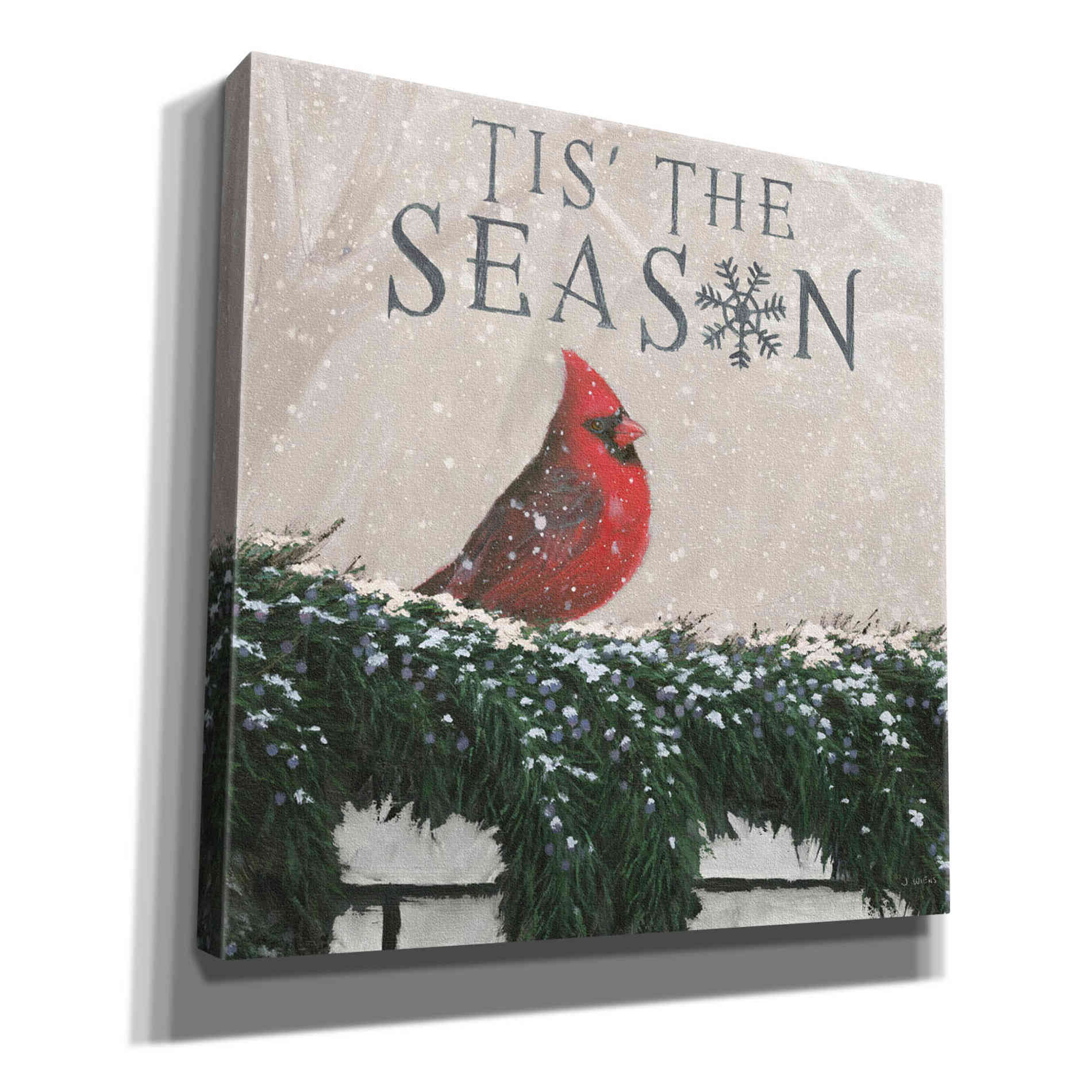 'Christmas Affinity X' by James Wiens, Canvas Wall Art,12x12x1.1x0,18x18x1.1x0,26x26x1.74x0,37x37x1.74x0