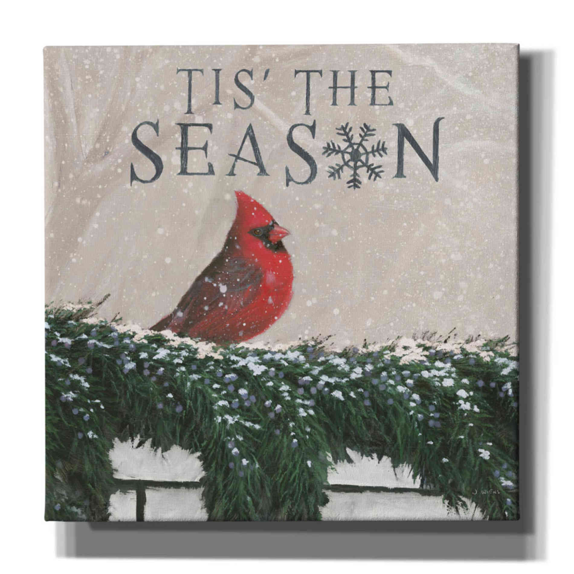 'Christmas Affinity X' by James Wiens, Canvas Wall Art,12x12x1.1x0,18x18x1.1x0,26x26x1.74x0,37x37x1.74x0