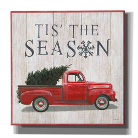 'Christmas Affinity XI' by James Wiens, Canvas Wall Art,12x12x1.1x0,18x18x1.1x0,26x26x1.74x0,37x37x1.74x0