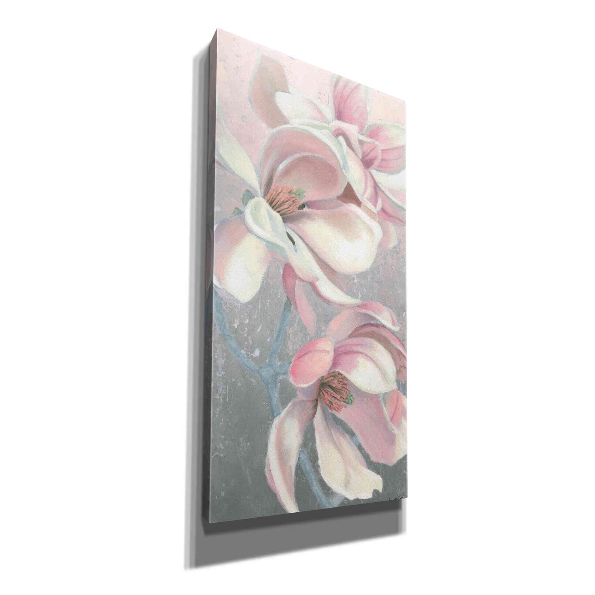 'Sunrise Blossom I' by James Wiens, Canvas Wall Art,12x24x1.1x0,20x40x1.74x0,30x60x1.74x0