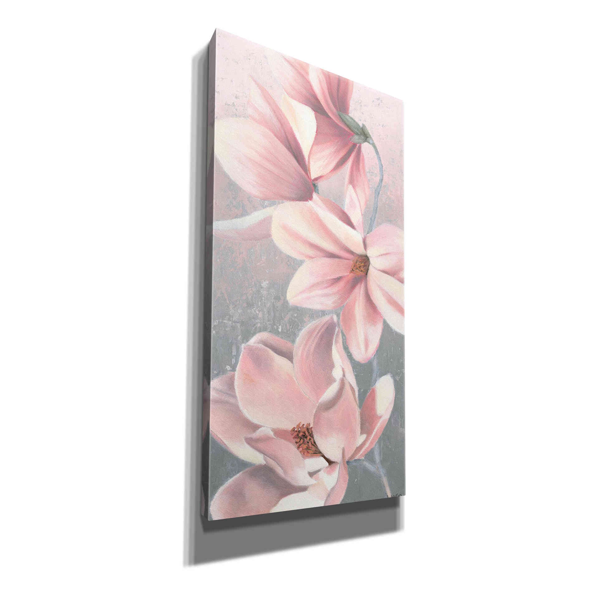 'Sunrise Blossom II' by James Wiens, Canvas Wall Art,12x24x1.1x0,20x40x1.74x0,30x60x1.74x0