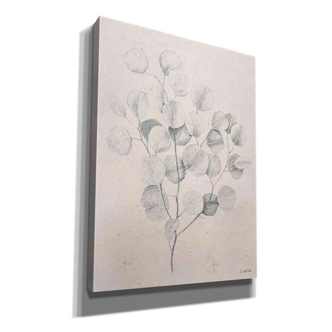 Image of 'Soft Summer Sketches II' by James Wiens, Canvas Wall Art,12x16x1.1x0,20x24x1.1x0,26x30x1.74x0,40x54x1.74x0