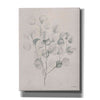'Soft Summer Sketches II' by James Wiens, Canvas Wall Art,12x16x1.1x0,20x24x1.1x0,26x30x1.74x0,40x54x1.74x0