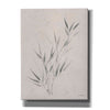 'Soft Summer Sketches III' by James Wiens, Canvas Wall Art,12x16x1.1x0,20x24x1.1x0,26x30x1.74x0,40x54x1.74x0