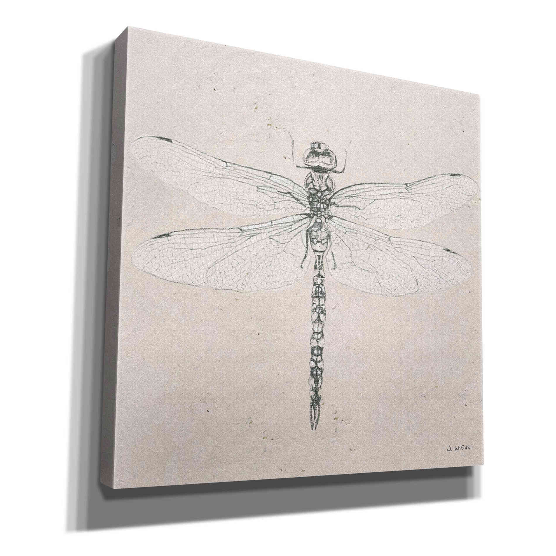 'Soft Summer Sketches VI' by James Wiens, Canvas Wall Art,12x12x1.1x0,18x18x1.1x0,26x26x1.74x0,37x37x1.74x0