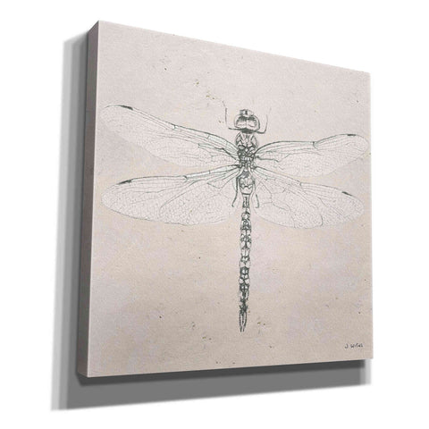 Image of 'Soft Summer Sketches VI' by James Wiens, Canvas Wall Art,12x12x1.1x0,18x18x1.1x0,26x26x1.74x0,37x37x1.74x0