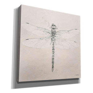 'Soft Summer Sketches VI' by James Wiens, Canvas Wall Art,12x12x1.1x0,18x18x1.1x0,26x26x1.74x0,37x37x1.74x0