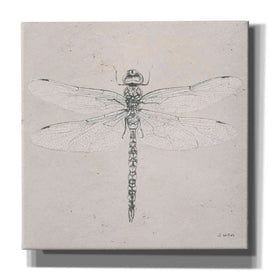 'Soft Summer Sketches VI' by James Wiens, Canvas Wall Art,12x12x1.1x0,18x18x1.1x0,26x26x1.74x0,37x37x1.74x0