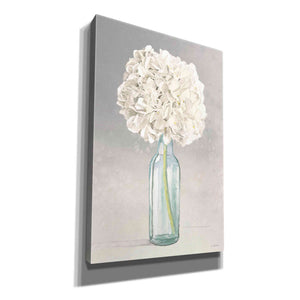 'Tranquil Blossoms II' by James Wiens, Canvas Wall Art,12x18x1.1x0,18x26x1.1x0,26x40x1.74x0,40x60x1.74x0