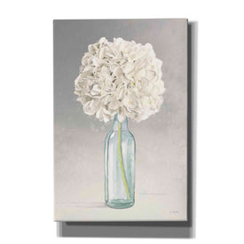 'Tranquil Blossoms II' by James Wiens, Canvas Wall Art,12x18x1.1x0,18x26x1.1x0,26x40x1.74x0,40x60x1.74x0