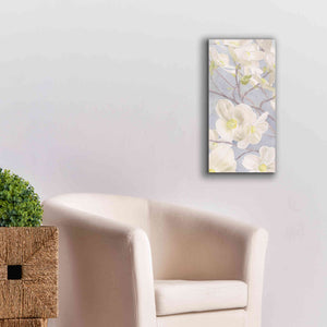 'Breezy Blossoms I' by James Wiens, Canvas Wall Art,12 x 24