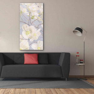 'Breezy Blossoms I' by James Wiens, Canvas Wall Art,30 x 60