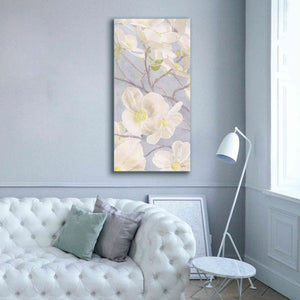 'Breezy Blossoms I' by James Wiens, Canvas Wall Art,30 x 60