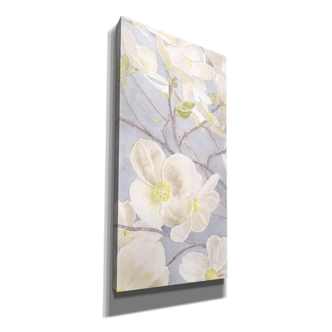 Image of 'Breezy Blossoms I' by James Wiens, Canvas Wall Art,12x24x1.1x0,20x40x1.74x0,30x60x1.74x0