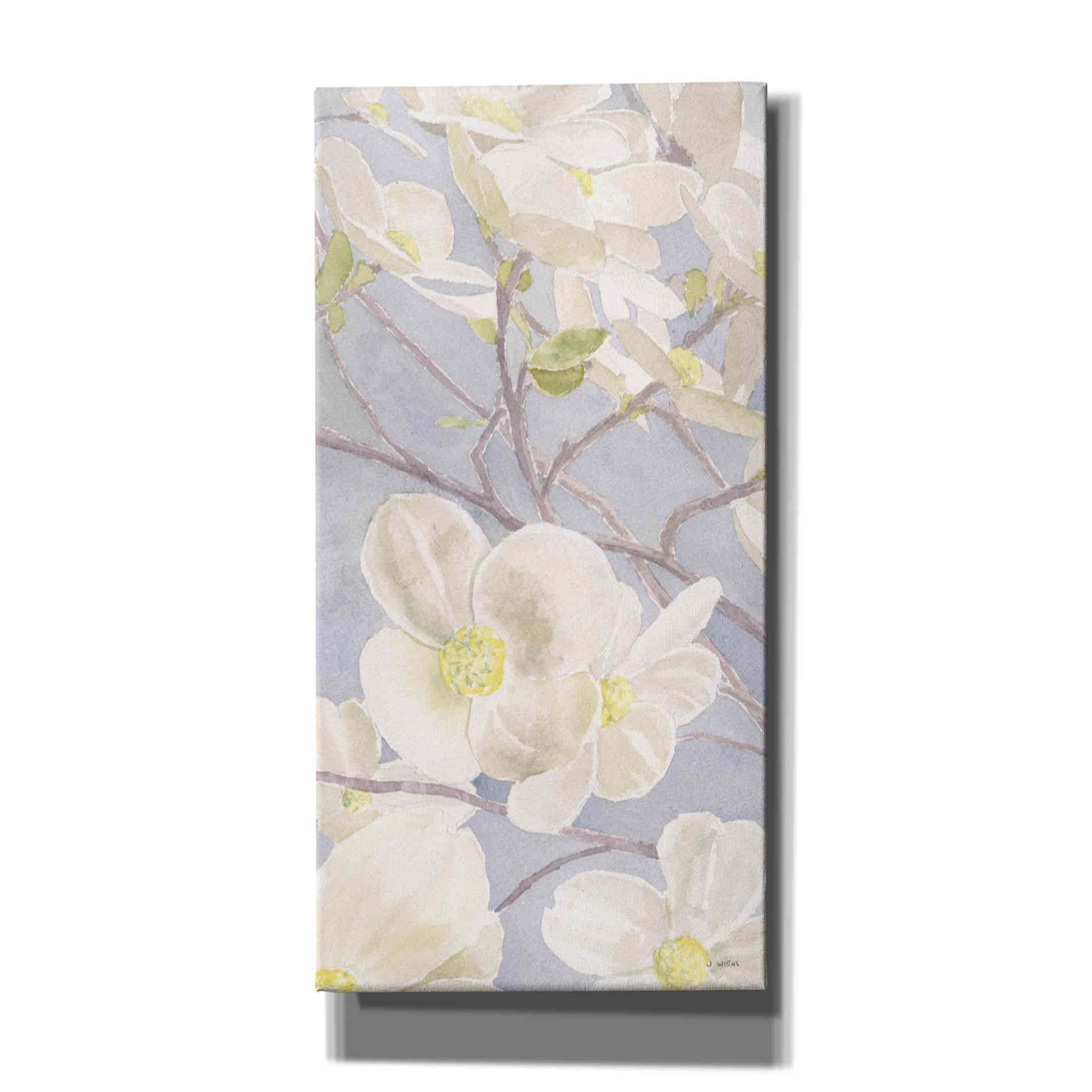 'Breezy Blossoms I' by James Wiens, Canvas Wall Art,12x24x1.1x0,20x40x1.74x0,30x60x1.74x0