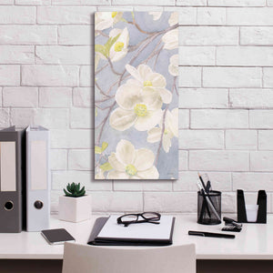 'Breezy Blossoms II' by James Wiens, Canvas Wall Art,12 x 24