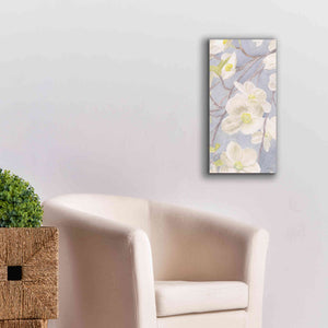 'Breezy Blossoms II' by James Wiens, Canvas Wall Art,12 x 24