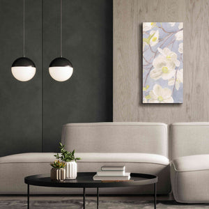 'Breezy Blossoms II' by James Wiens, Canvas Wall Art,20 x 40