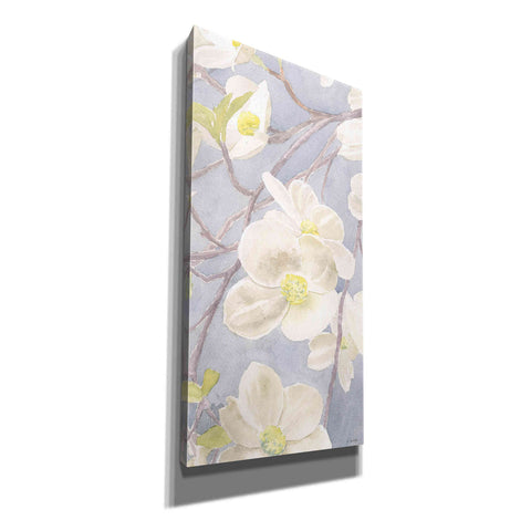 Image of 'Breezy Blossoms II' by James Wiens, Canvas Wall Art,12x24x1.1x0,20x40x1.74x0,30x60x1.74x0