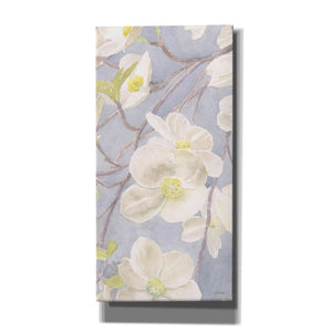 'Breezy Blossoms II' by James Wiens, Canvas Wall Art,12x24x1.1x0,20x40x1.74x0,30x60x1.74x0