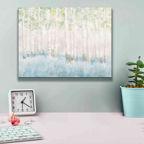 Image of 'Soft Birches' by James Wiens, Canvas Wall Art,16 x 12