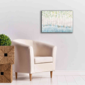 'Soft Birches' by James Wiens, Canvas Wall Art,26 x 18