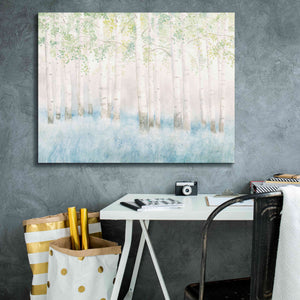 'Soft Birches' by James Wiens, Canvas Wall Art,34 x 26