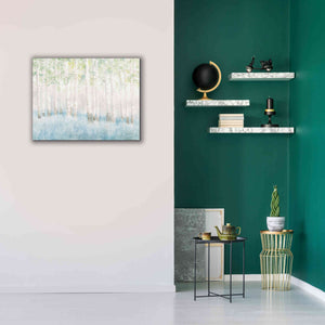 'Soft Birches' by James Wiens, Canvas Wall Art,34 x 26
