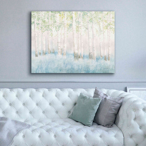 Image of 'Soft Birches' by James Wiens, Canvas Wall Art,54 x 40
