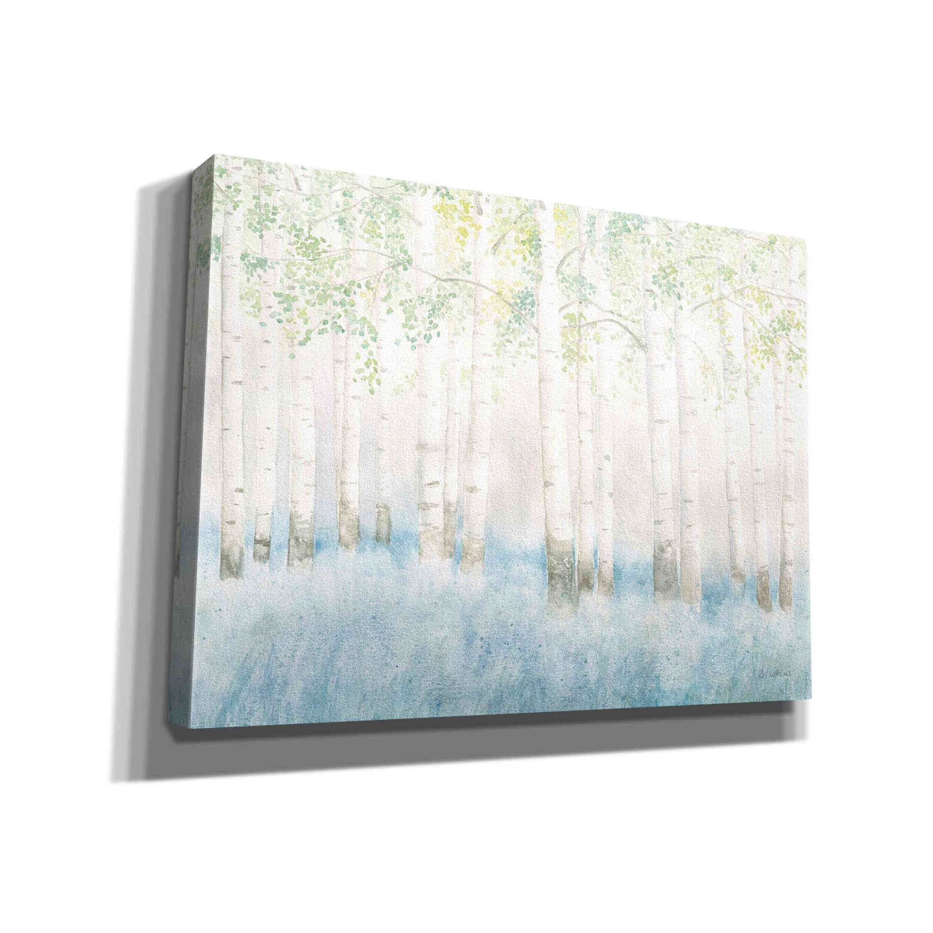 'Soft Birches' by James Wiens, Canvas Wall Art,16x12x1.1x0,26x18x1.1x0,34x26x1.74x0,54x40x1.74x0