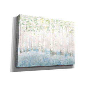 'Soft Birches' by James Wiens, Canvas Wall Art,16x12x1.1x0,26x18x1.1x0,34x26x1.74x0,54x40x1.74x0