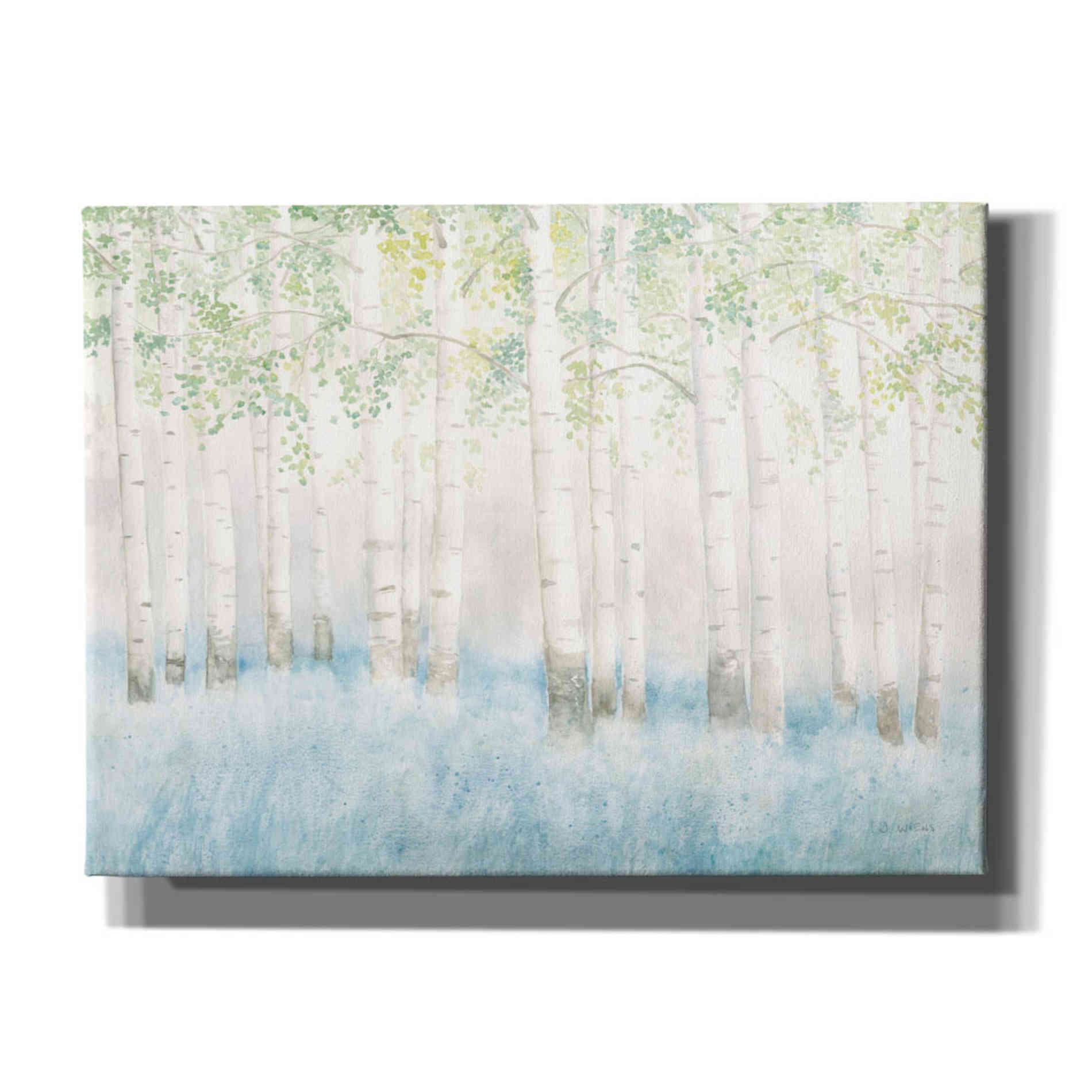 'Soft Birches' by James Wiens, Canvas Wall Art,16x12x1.1x0,26x18x1.1x0,34x26x1.74x0,54x40x1.74x0