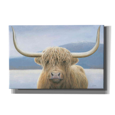 Image of 'Highland Cow' by James Wiens, Canvas Wall Art,18x12x1.1x0,26x18x1.1x0,40x26x1.74x0,60x40x1.74x0