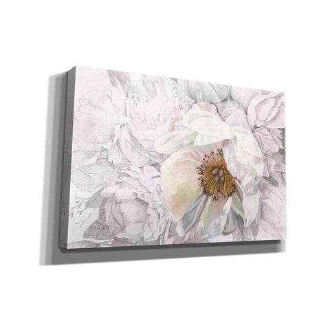 Image of 'Blooming Sketch' by James Wiens, Canvas Wall Art,18x12x1.1x0,26x18x1.1x0,40x26x1.74x0,60x40x1.74x0