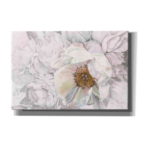 Image of 'Blooming Sketch' by James Wiens, Canvas Wall Art,18x12x1.1x0,26x18x1.1x0,40x26x1.74x0,60x40x1.74x0