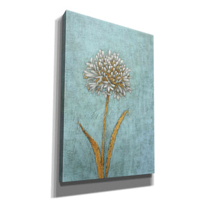 'Shimmering Summer I' by James Wiens, Canvas Wall Art,12x18x1.1x0,18x26x1.1x0,26x40x1.74x0,40x60x1.74x0