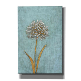 'Shimmering Summer I' by James Wiens, Canvas Wall Art,12x18x1.1x0,18x26x1.1x0,26x40x1.74x0,40x60x1.74x0