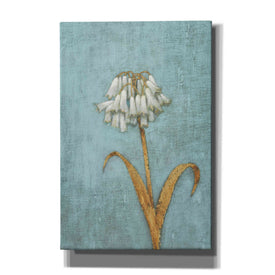 'Shimmering Summer II' by James Wiens, Canvas Wall Art,12x18x1.1x0,18x26x1.1x0,26x40x1.74x0,40x60x1.74x0