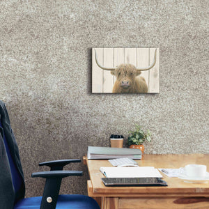 'Highland Cow Shiplap' by James Wiens, Canvas Wall Art,18 x 12