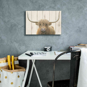 'Highland Cow Shiplap' by James Wiens, Canvas Wall Art,18 x 12