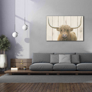 'Highland Cow Shiplap' by James Wiens, Canvas Wall Art,60 x 40
