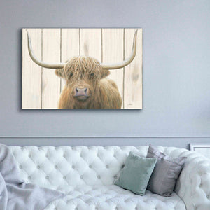 'Highland Cow Shiplap' by James Wiens, Canvas Wall Art,60 x 40