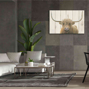 'Highland Cow Shiplap' by James Wiens, Canvas Wall Art,60 x 40