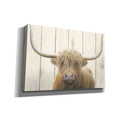 Image of 'Highland Cow Shiplap' by James Wiens, Canvas Wall Art,18x12x1.1x0,26x18x1.1x0,40x26x1.74x0,60x40x1.74x0