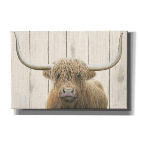 Image of 'Highland Cow Shiplap' by James Wiens, Canvas Wall Art,18x12x1.1x0,26x18x1.1x0,40x26x1.74x0,60x40x1.74x0