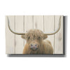 'Highland Cow Shiplap' by James Wiens, Canvas Wall Art,18x12x1.1x0,26x18x1.1x0,40x26x1.74x0,60x40x1.74x0