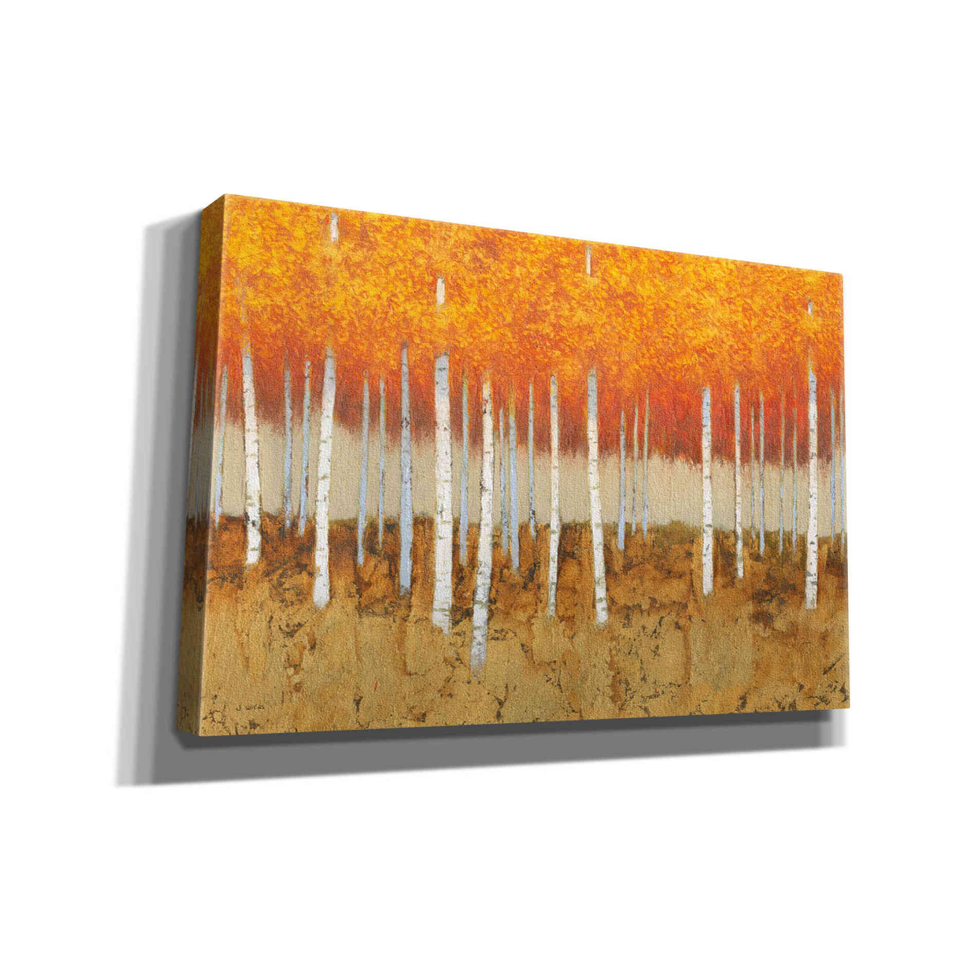 'Autumn Birches' by James Wiens, Canvas Wall Art,18x12x1.1x0,26x18x1.1x0,40x26x1.74x0,60x40x1.74x0