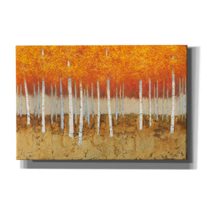 'Autumn Birches' by James Wiens, Canvas Wall Art,18x12x1.1x0,26x18x1.1x0,40x26x1.74x0,60x40x1.74x0